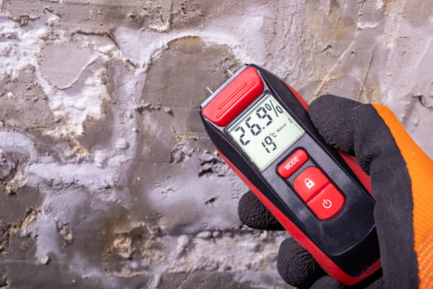 Best Mold Testing  in Bret Harte, CA